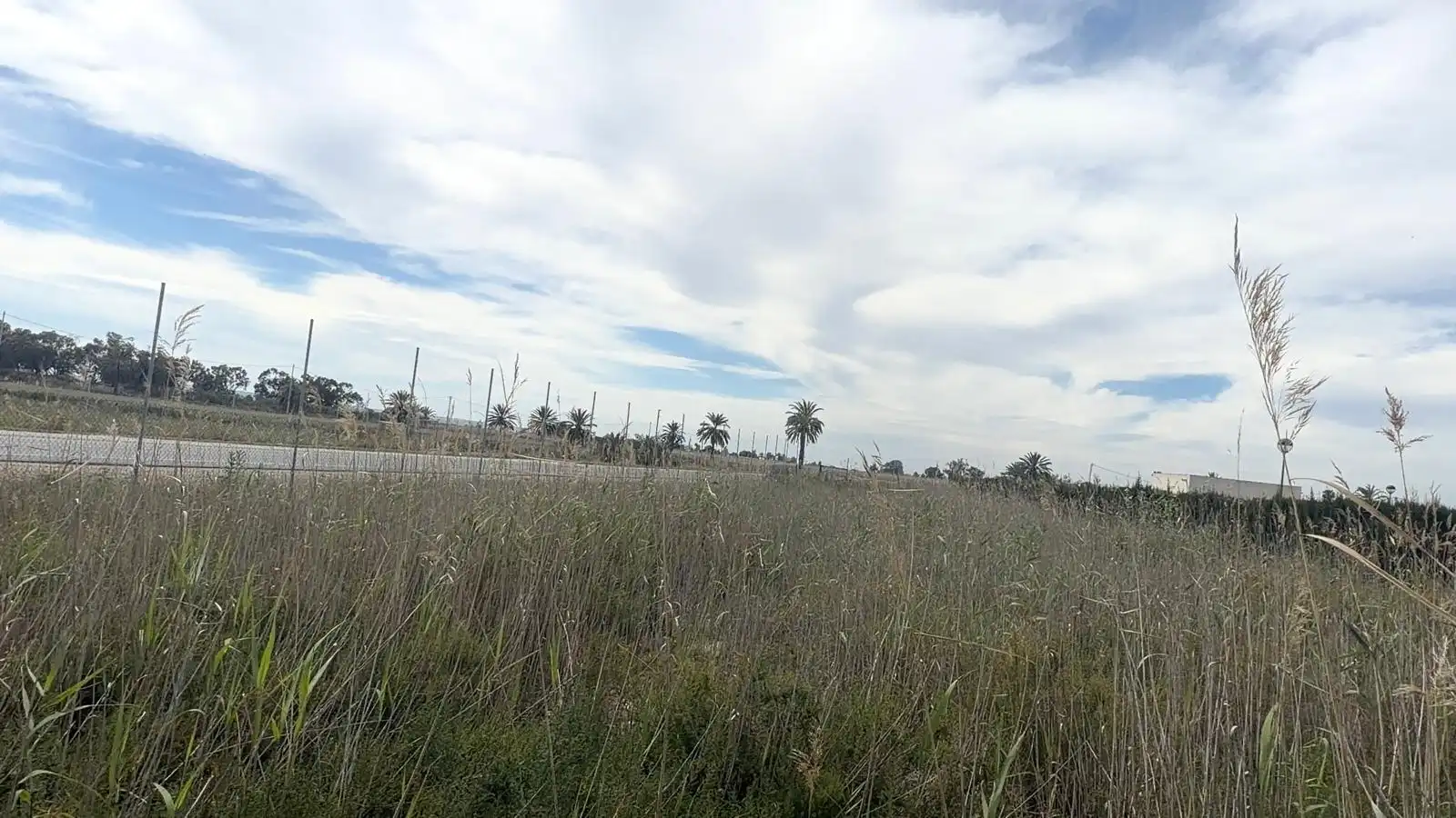 Grundstücke zum Verkauf in Elche / Elx