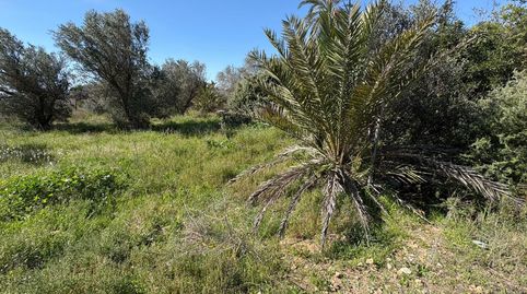 Photo 3 of Houses for sale in El Altet, Elche / Elx