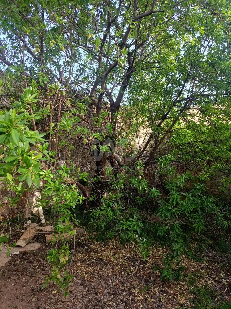 Finca rústica en venta en Lorca