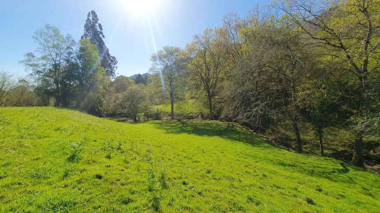Finca rústica en venta en Llanes