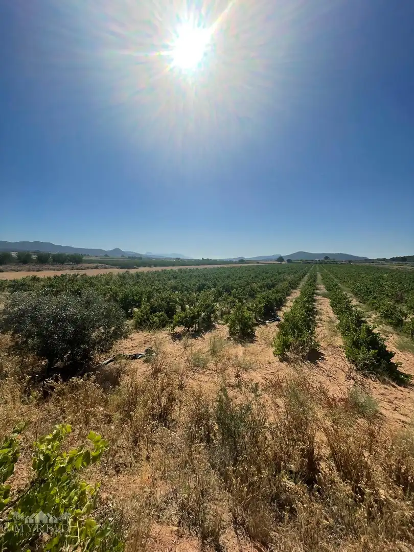 Terreno residencial en venta en El Pinós / Pinoso, imagen 18