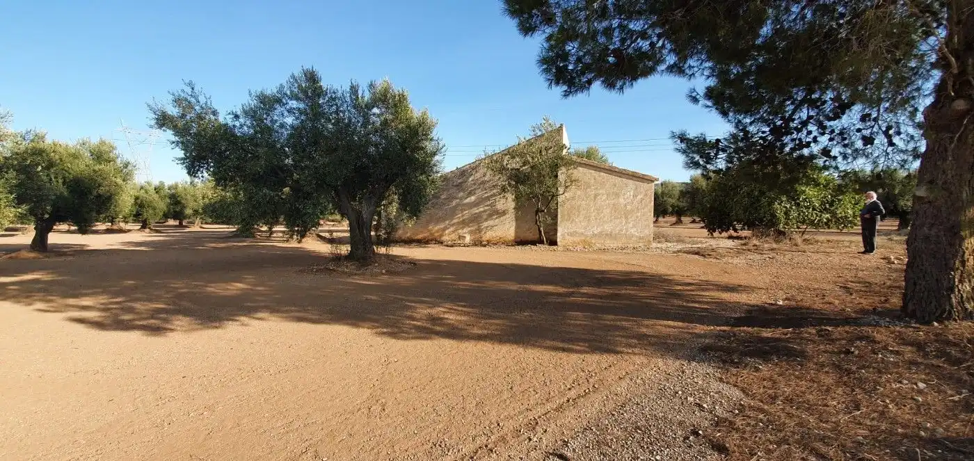 Terreno rustico in vendita a Carrer 2 Vila. Llarga, imagen 4