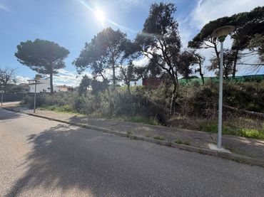 Terreni e lotti in vendita a Calle Riu Fluvià