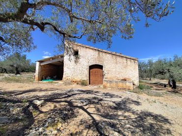 Casa rustica in vendita a Polígono 3, Parcela 60