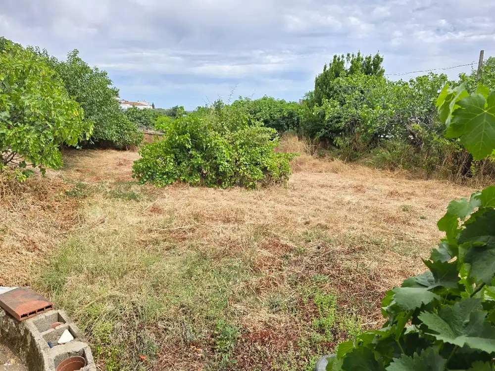 Casa o chalet en venta en Aliseda