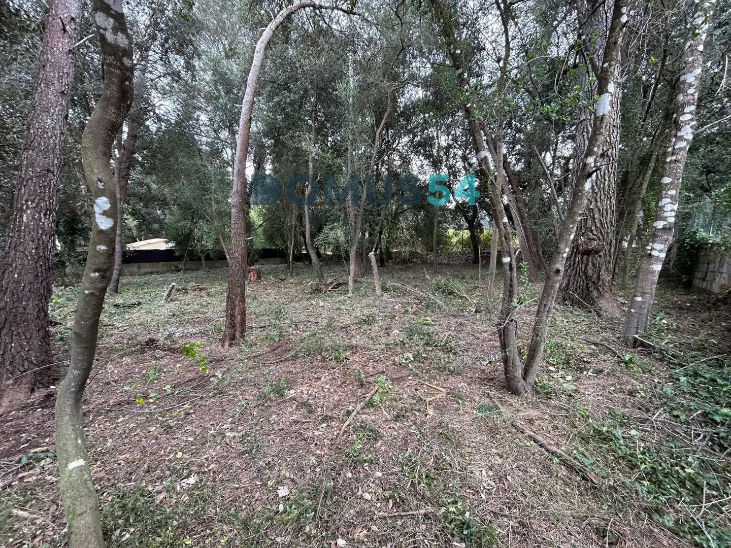 Rural land for sale in Sa Pobla, imagen 5