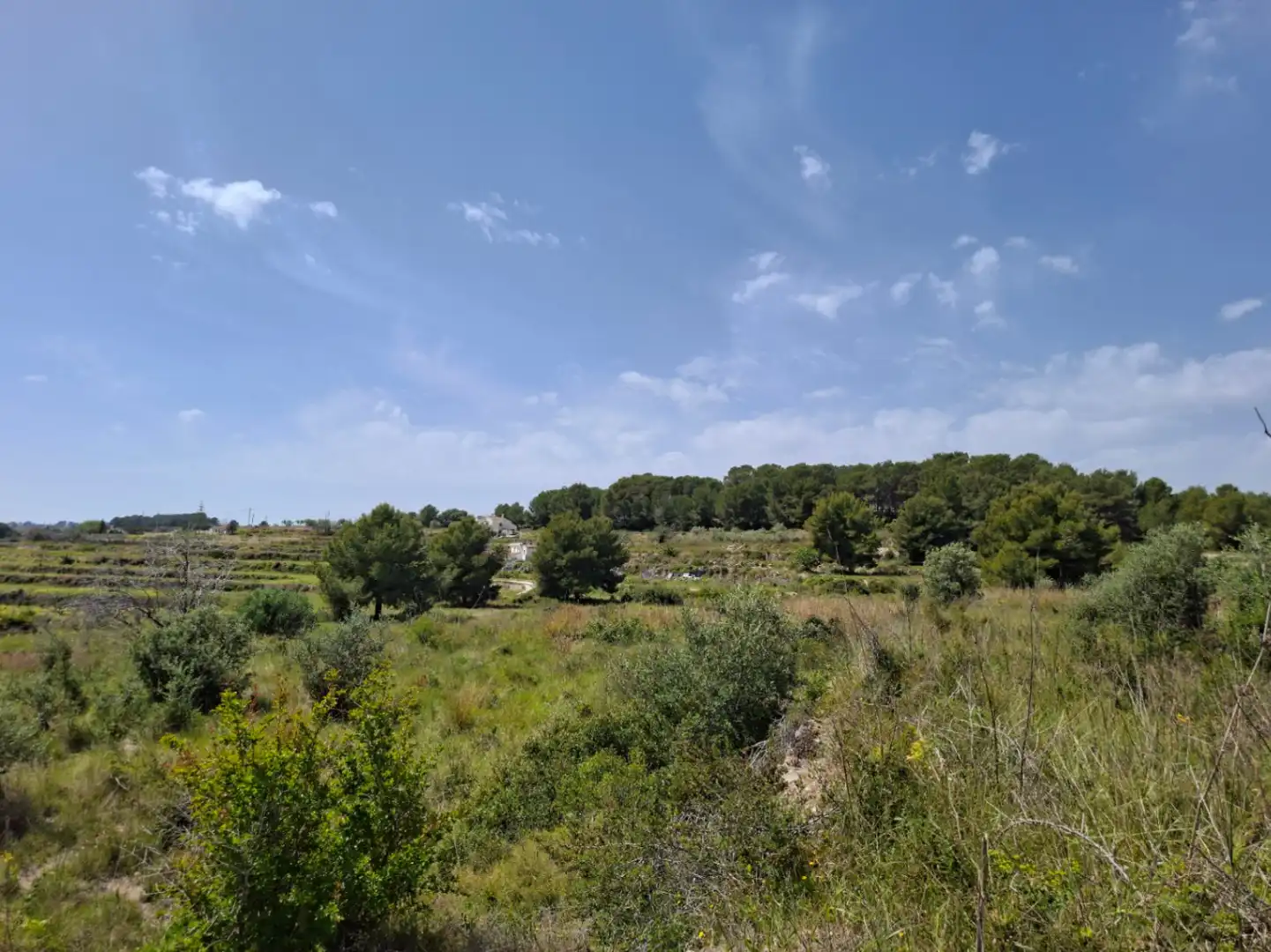 Maison rustique avec jardin à vendre à Teulada, imagen 25