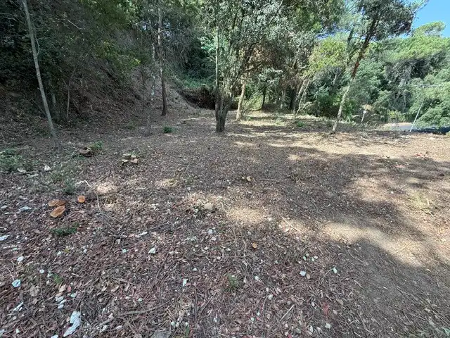 Residential land for sale in Vallgorguina, imagen 4