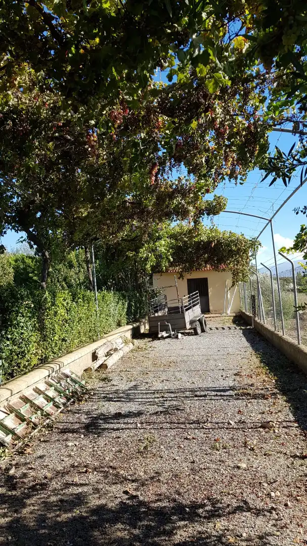 Chalet con piscina en venta en Carretera Benalúa 20, imagen 16