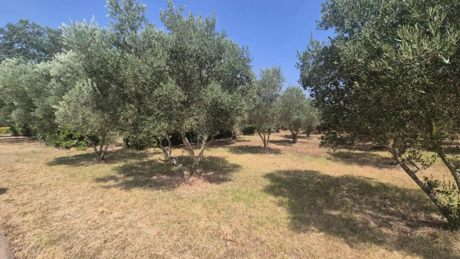 Finca rústica en venda en Verges amb Calefacció, Jardí privat i Terrassa