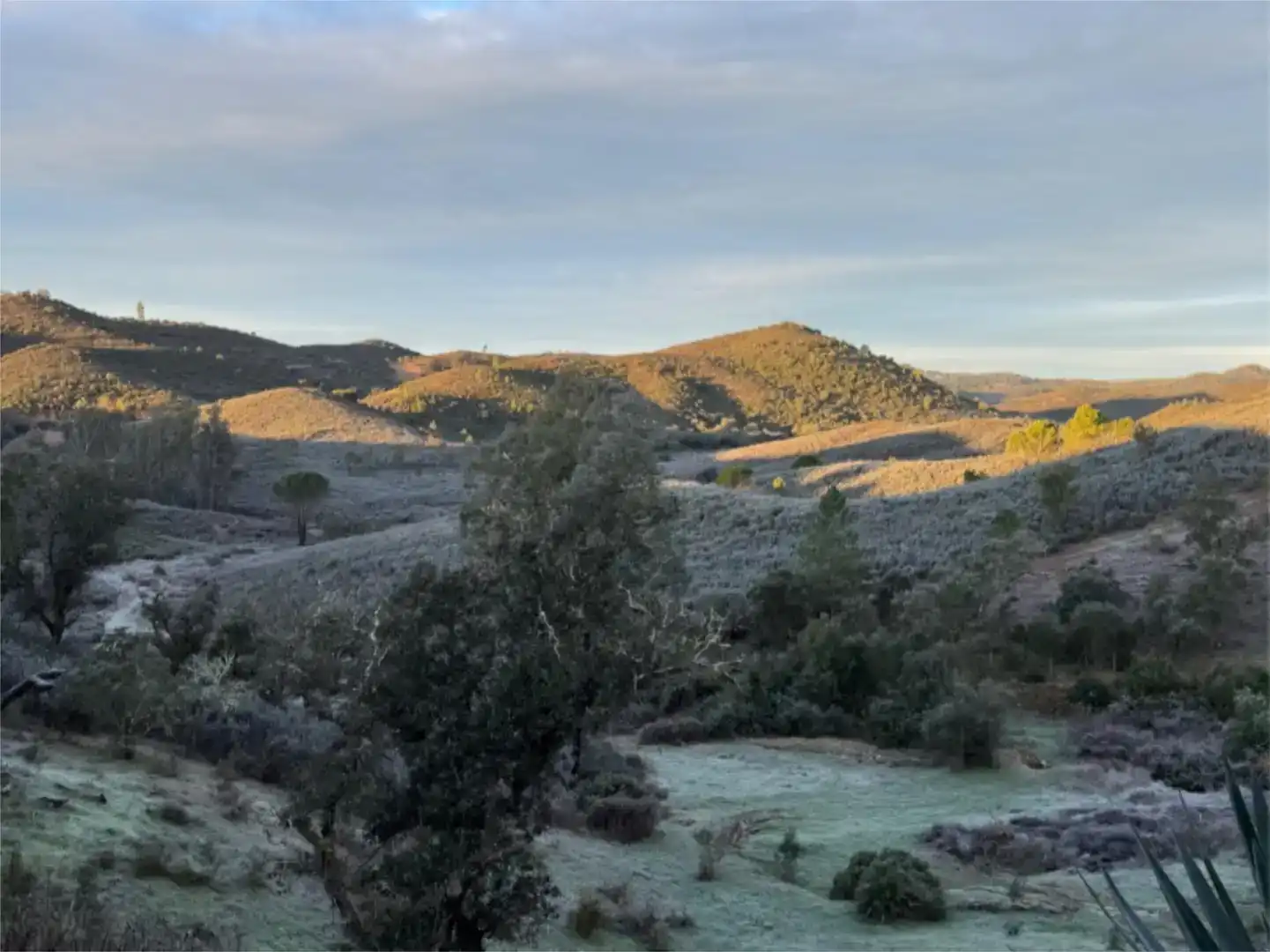 Vista exterior de Finca rústica en venta en El Madroño con Aire acondicionado, Jardín privado y Parquet