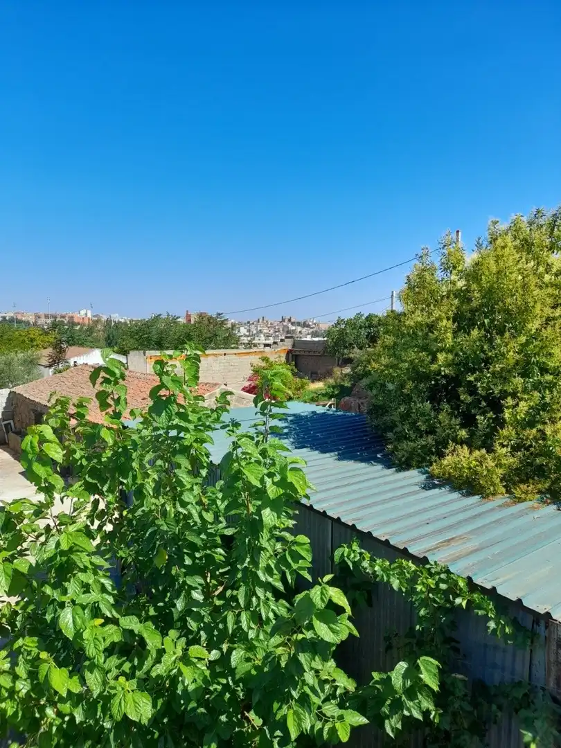 Jardín de Casa o chalet en venta en Cáceres con Jardín privado, Terraza y Trastero