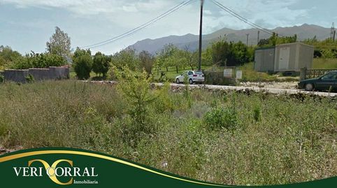 Venta de dos parcelas en el casco urbano de Colunga., imatge 5