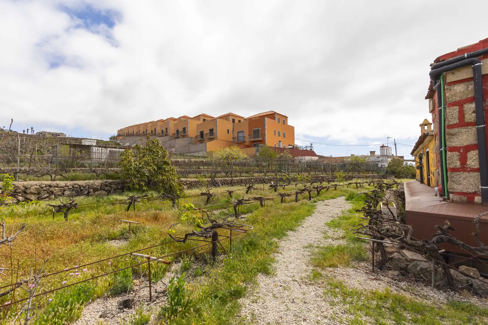 Vista exterior de Casa o xalet en venda en Vilaflor de Chasna amb Jardí privat