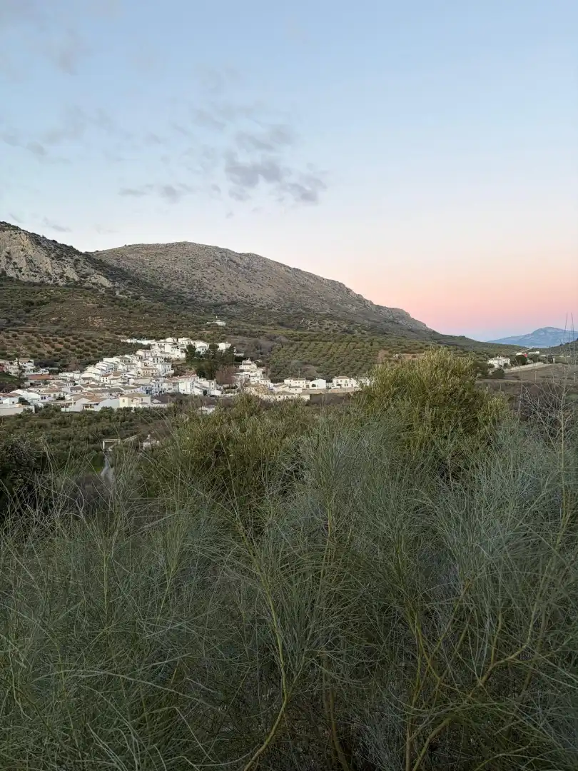 Terreny rústic en venda a Priego de Córdoba, imagen 6