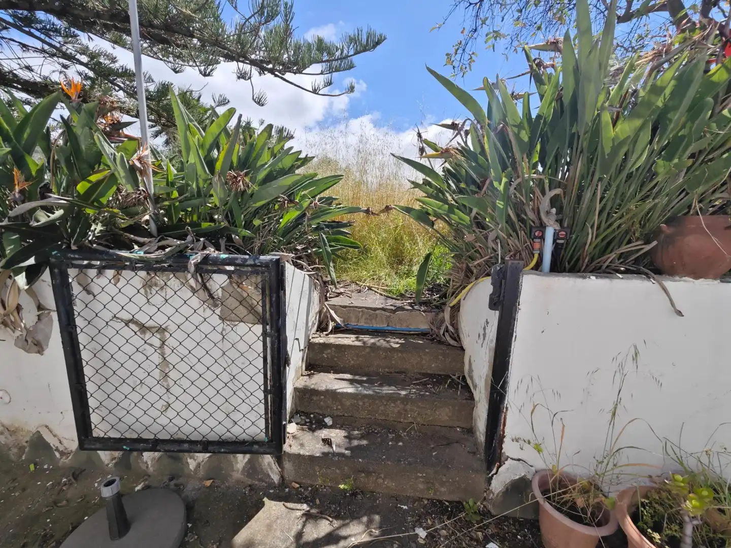 Jardí de Casa o xalet en venda en Santa Brígida amb Piscina comunitària