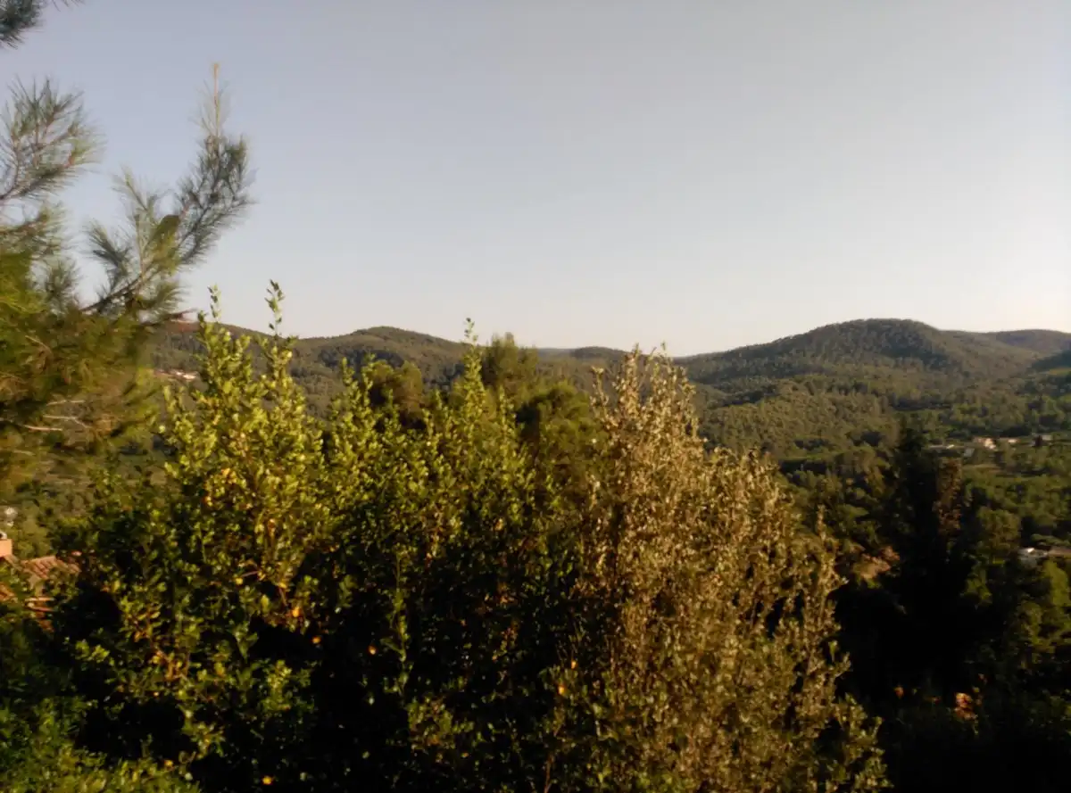 Terreni e lotti in vendita a Corbera de Llobregat, imagen 35