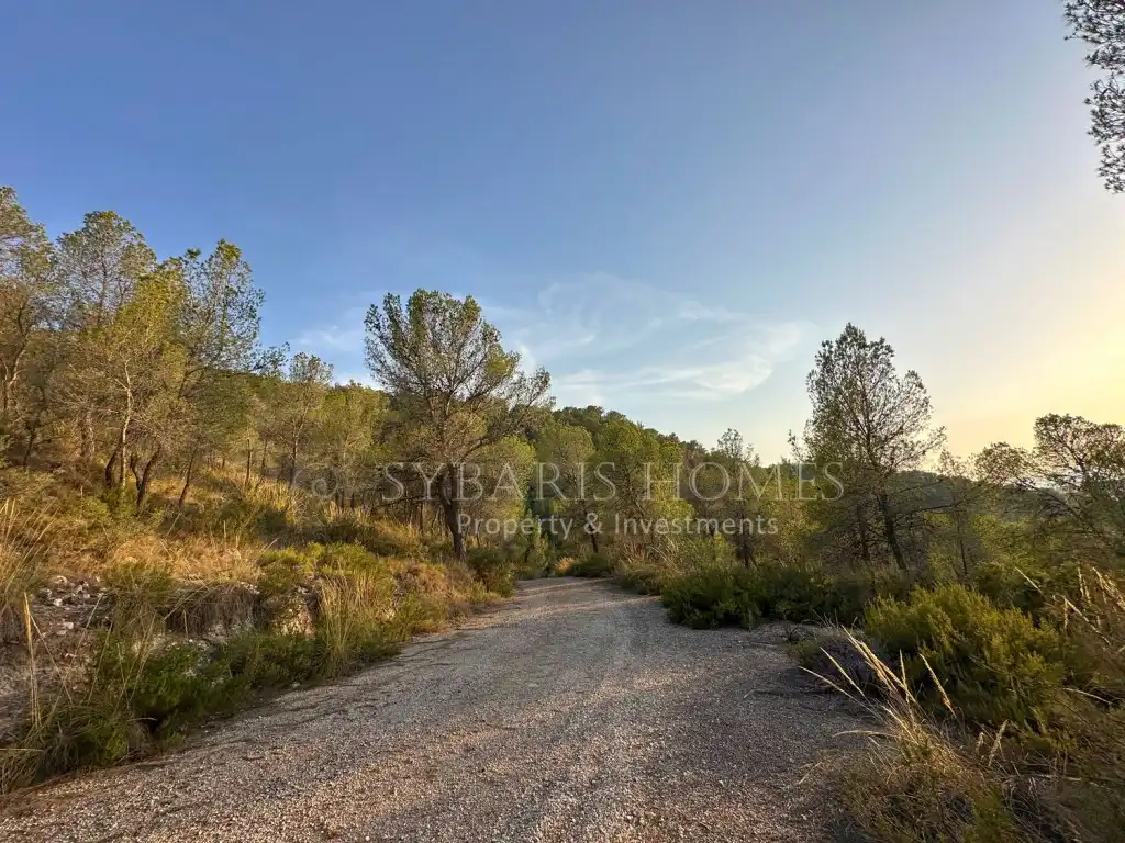 Casa rustica in vendita a Partida Derramao Alt, imagen 48
