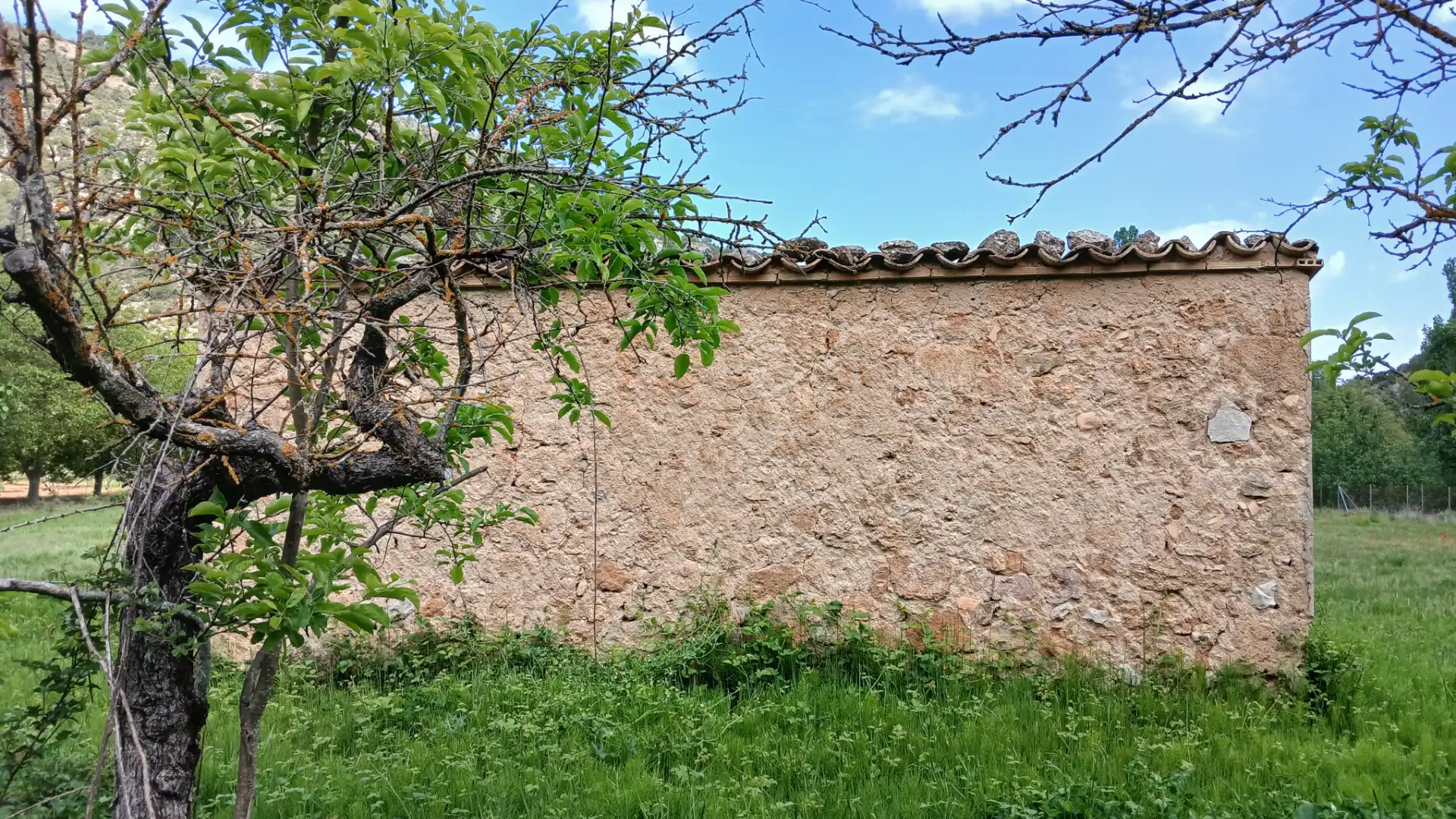 Land for sale in Beceite