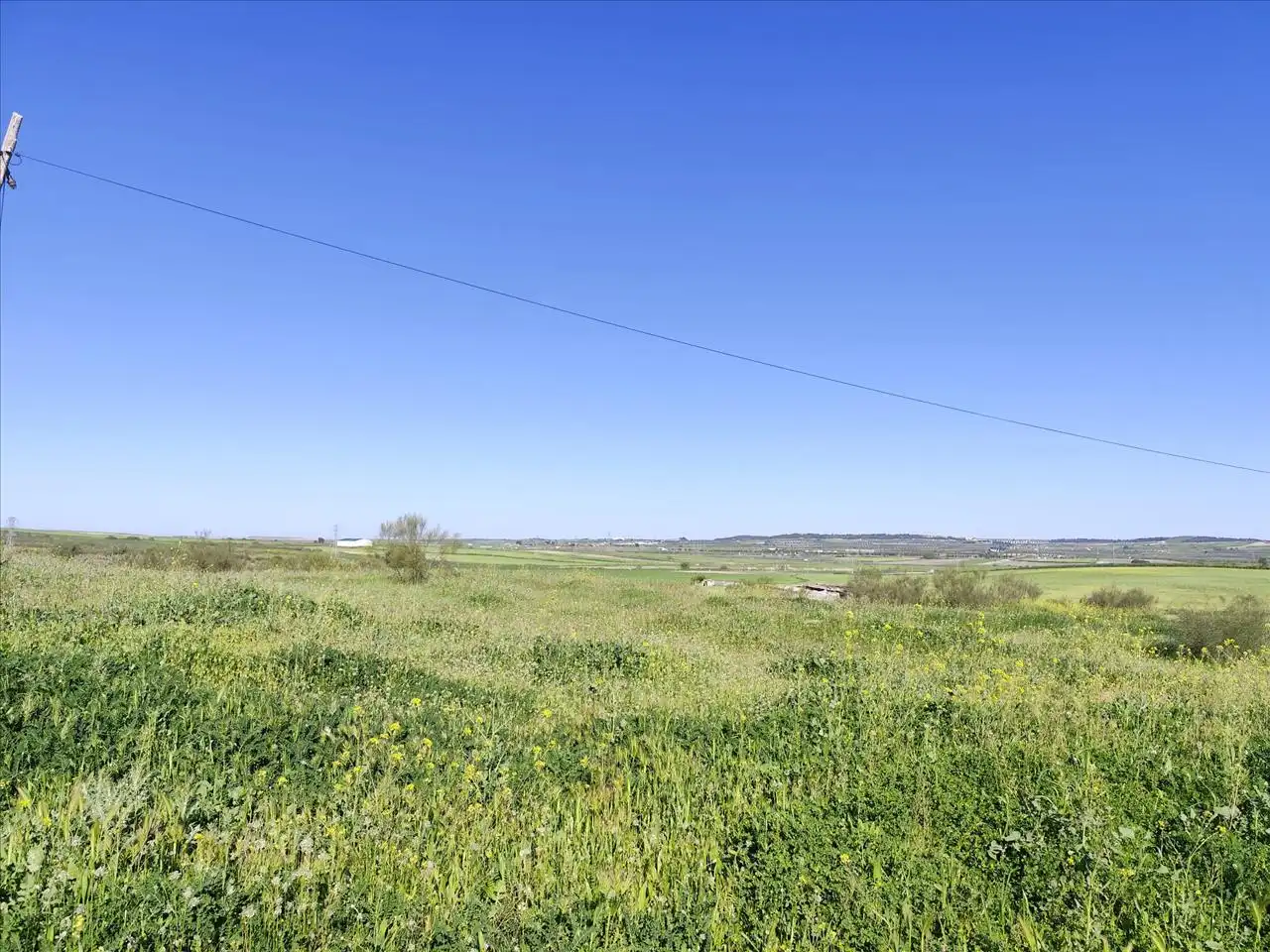 Residential land for sale in EL PLEITO, imagen 9