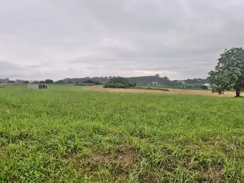 Terreno en venta en Marina de Cudeyo