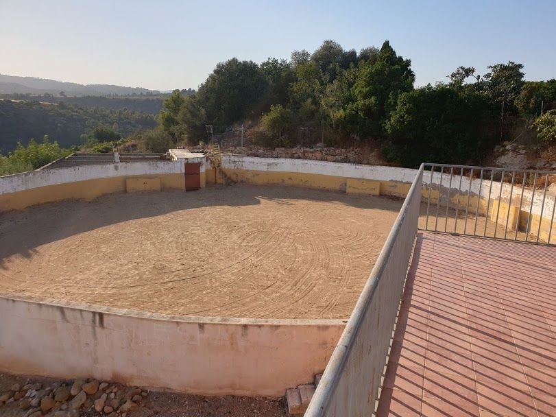 Piscina de Finca rústica en venda en Onda