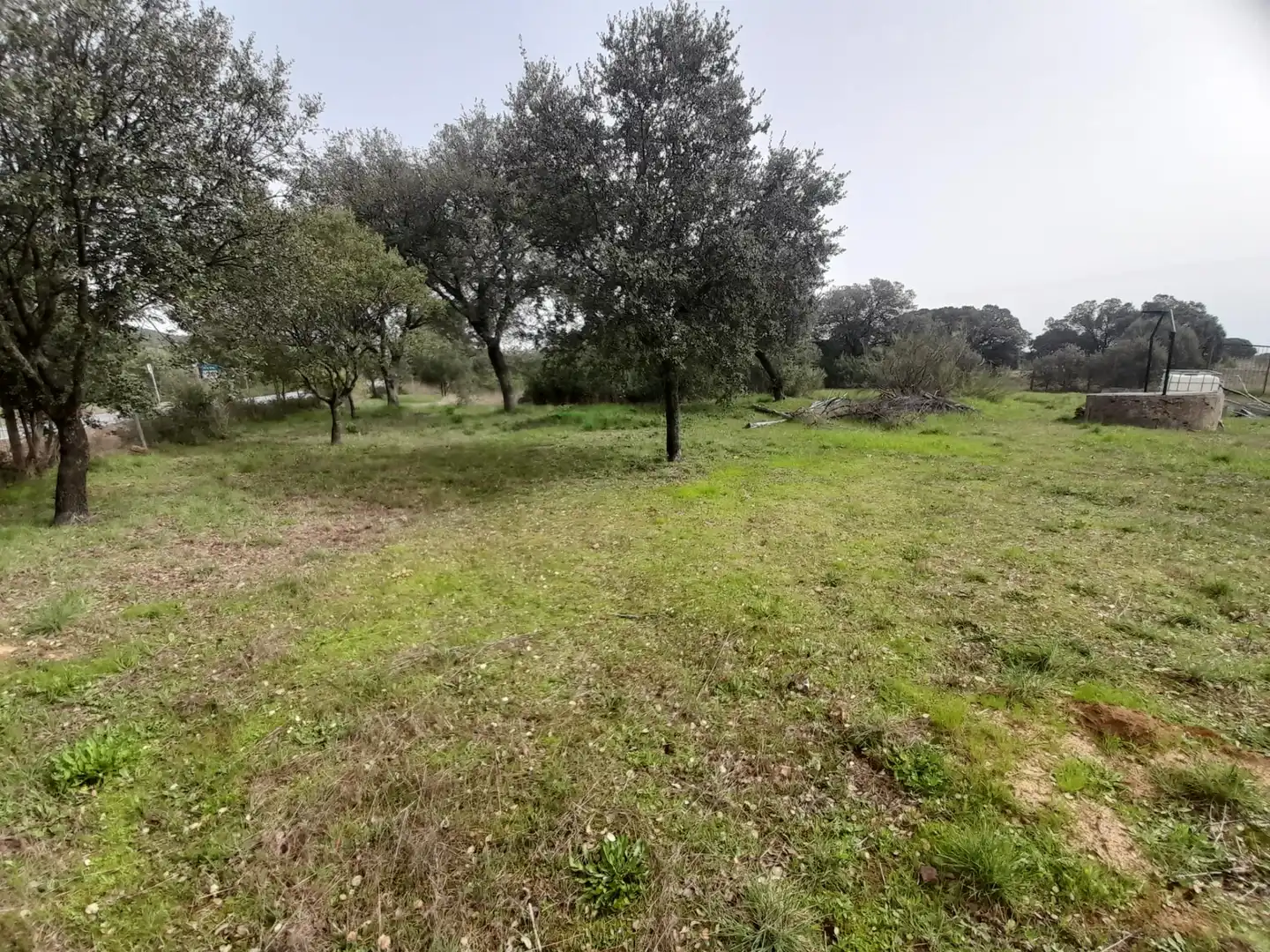 Finca rústica en venta en Brazatortas con Trastero y Piscina