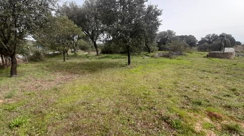 Photo 4 of Country homes for sale in Camino Almodóvar, Brazatortas, Ciudad Real