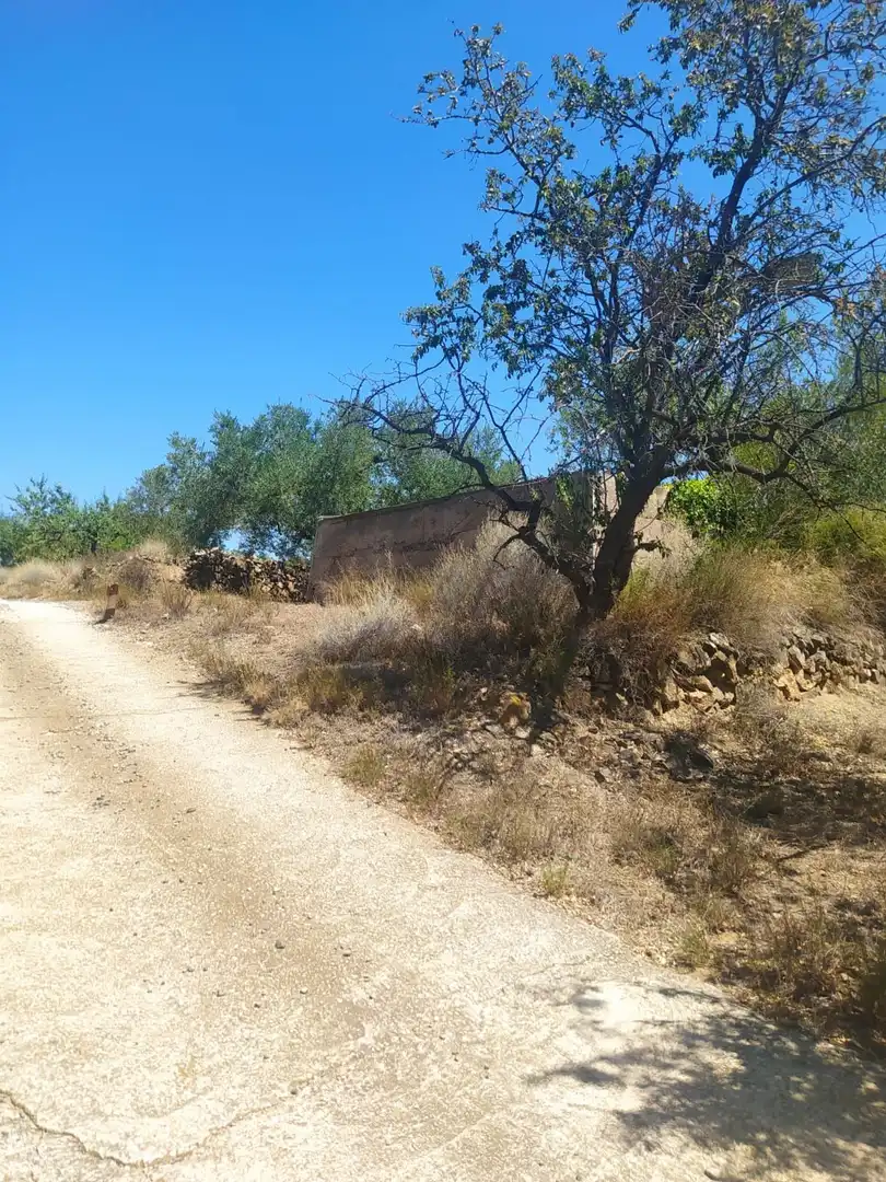 Terreno rustico in vendita a Riudecanyes, imagen 6