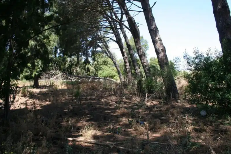 Terrenos y solares en venta en El Retiro - Parque Atlántico - Ronda este, imagen 4