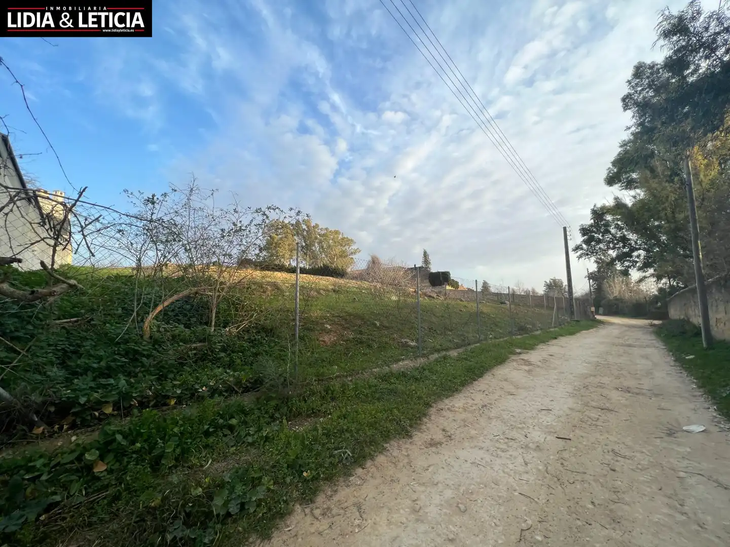 Rural land for sale in Nueva Alcalá, imagen 7