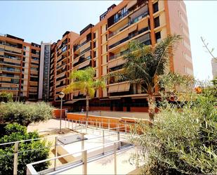 Exterior view of Planta baja for sale in Alicante / Alacant  with Parquet flooring, Terrace and Storage room
