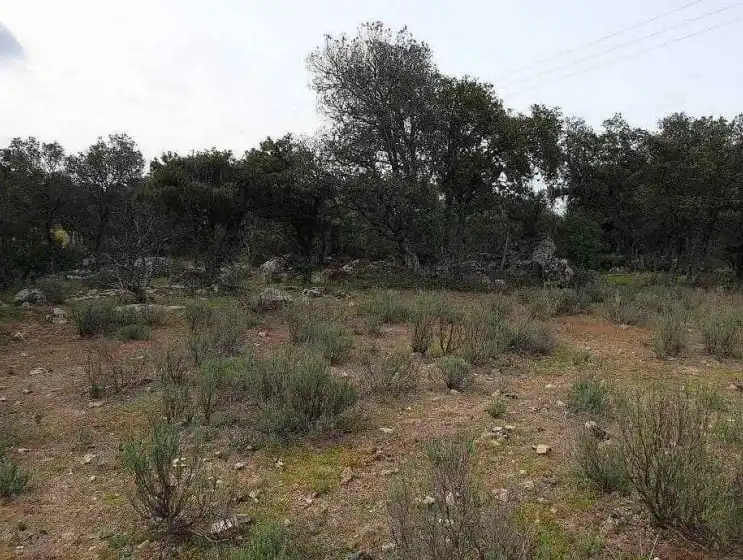 Terreno rústico en venta en Paraje El Enebral, imagen 8