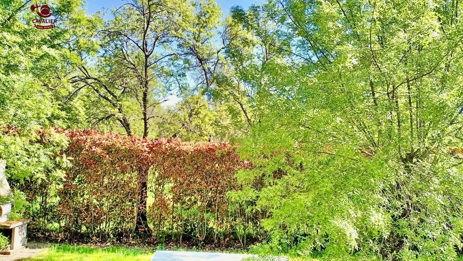 Jardí de Casa o xalet en venda en Guadarrama amb Calefacció, Jardí privat i Terrassa