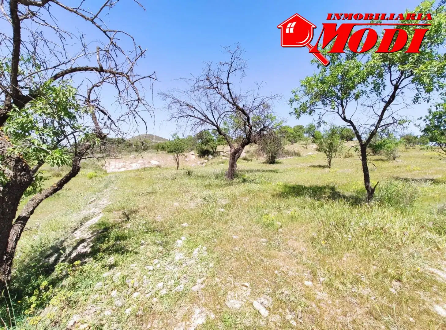 Lands and plots for sale in Villamena, imagen 6