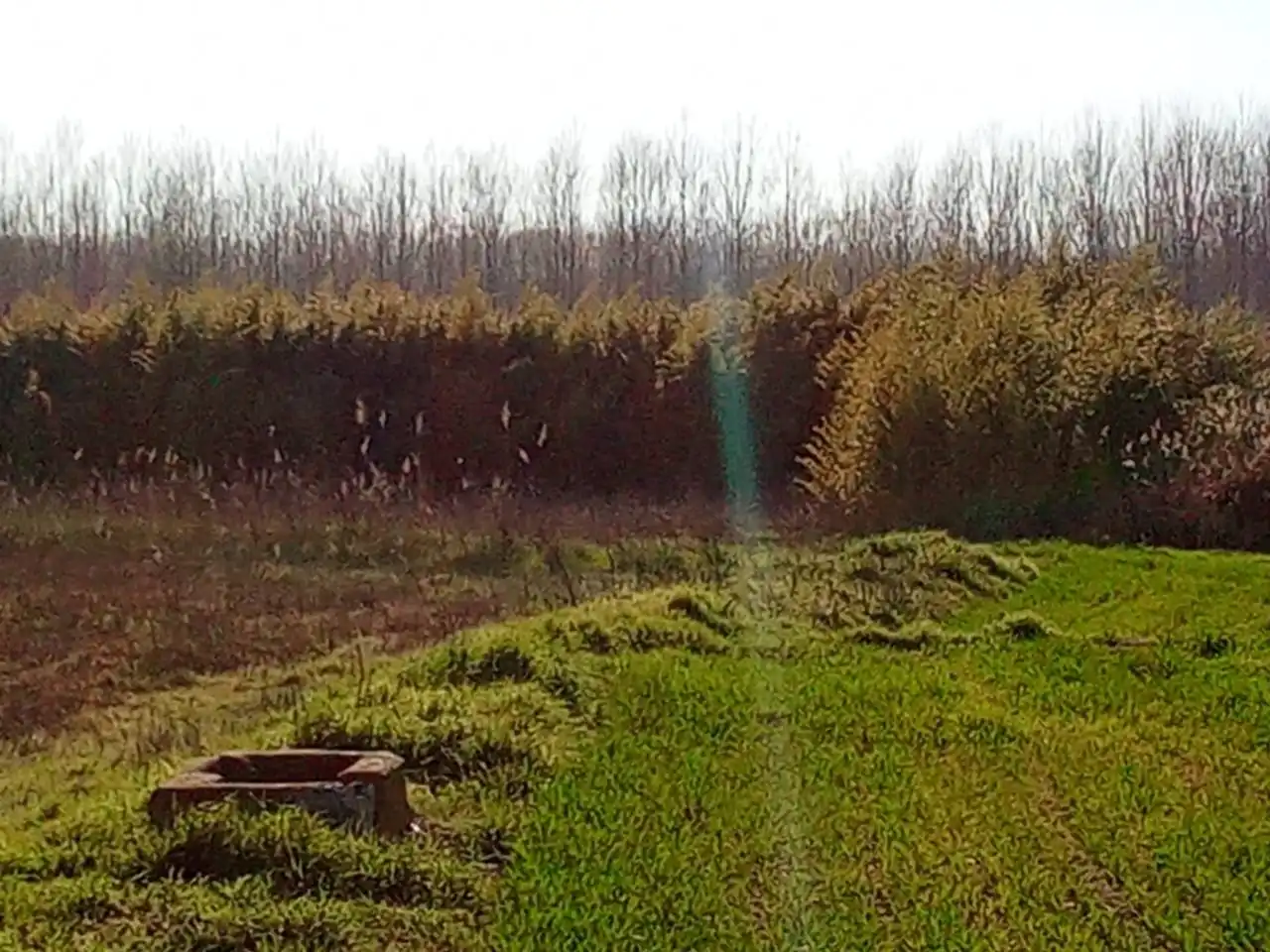 Terreni e lotti in vendita a Pueyo de Santa Cruz, imagen 6