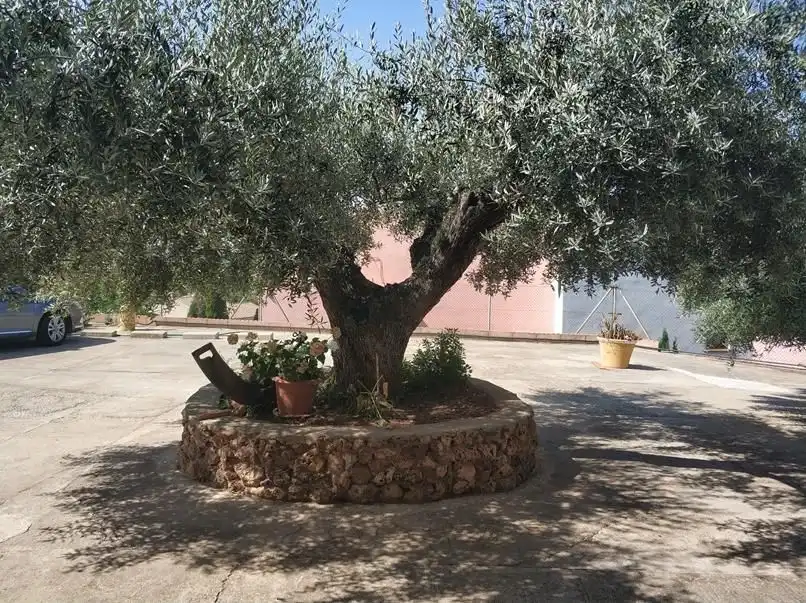 Villa avec piscine à vendre à Borriol, imagen 44