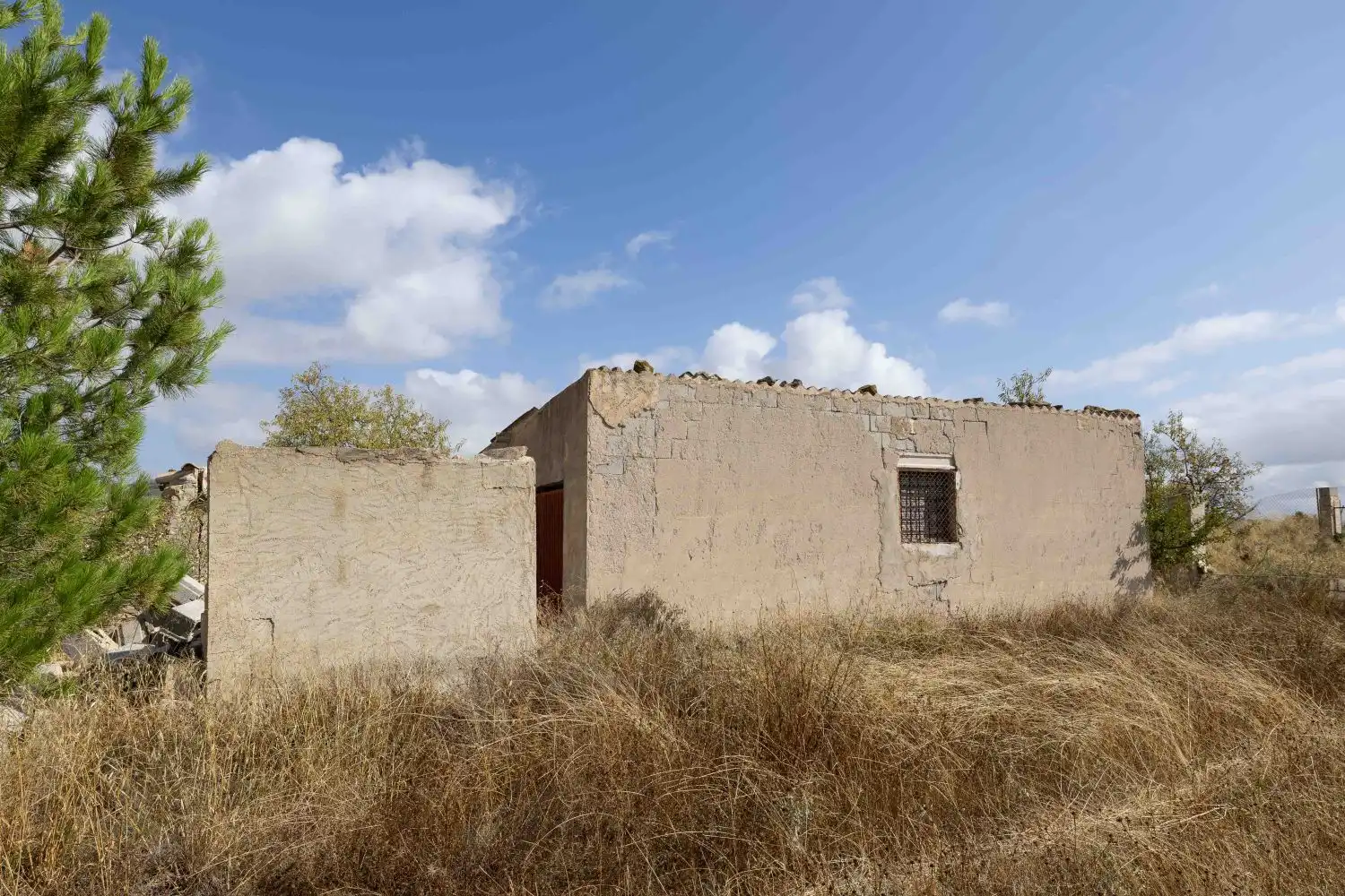 Vista exterior de Finca rústica en venta en Mula