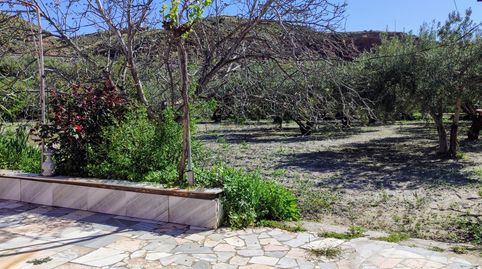 Foto 2 de Finca rústica en venta en Purchena, Almería
