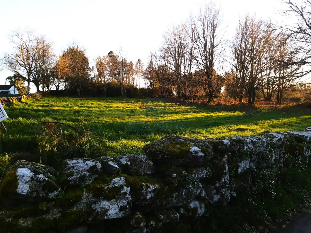 Terreni e lotti in vendita a Esgos, imagen 7