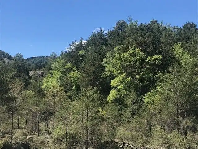 Terreni e lotti in vendita a El Pueyo de Araguás, imagen 19