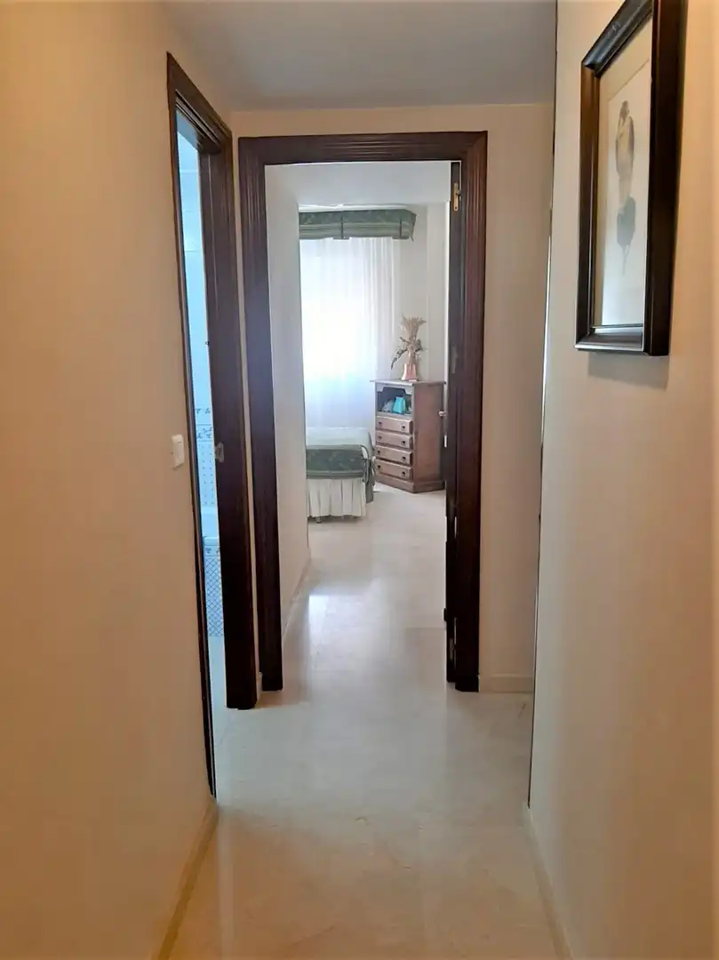 Apartments for rent in Centro