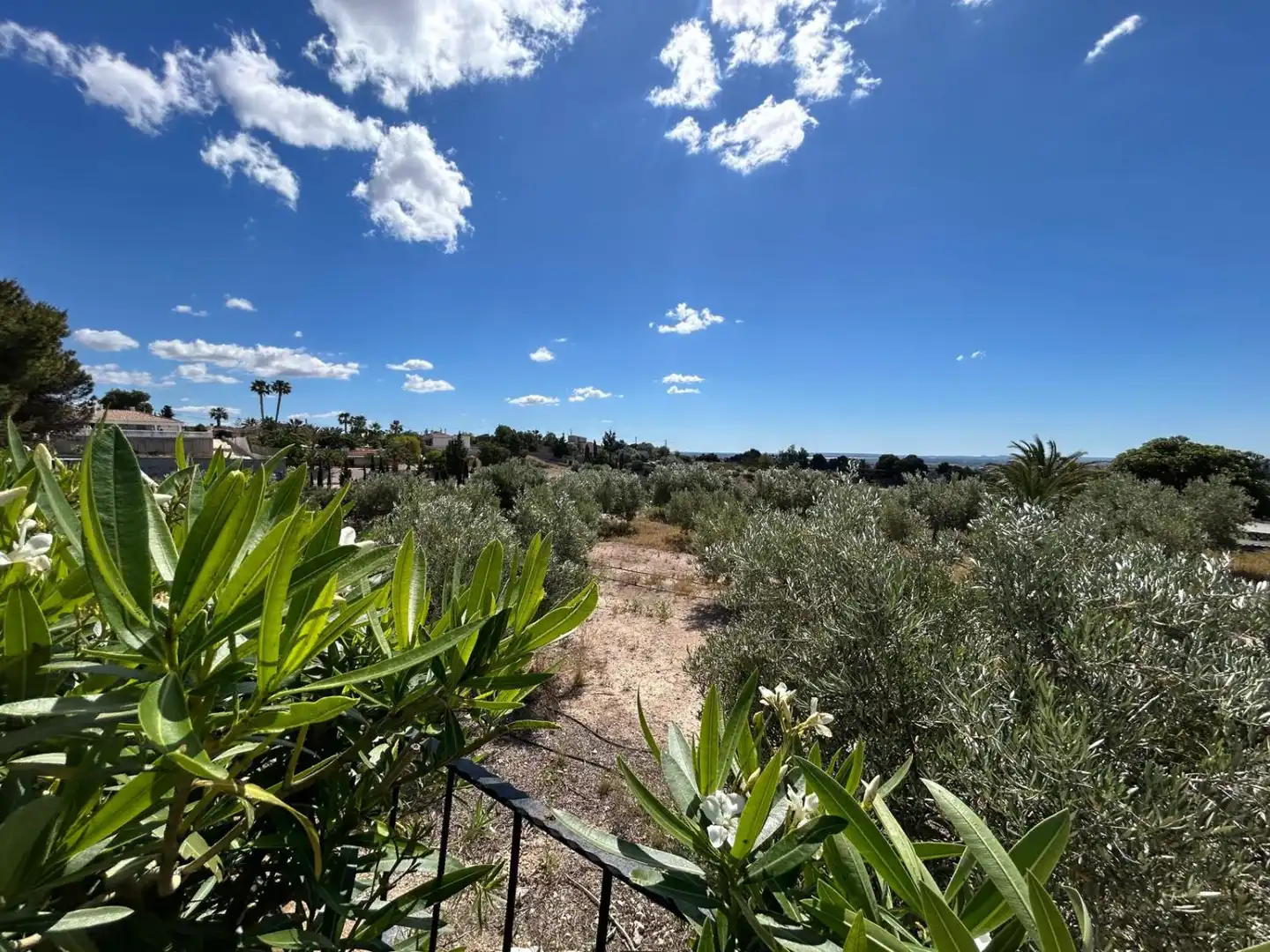 Villa avec piscine à vendre à Albatera, imagen 9