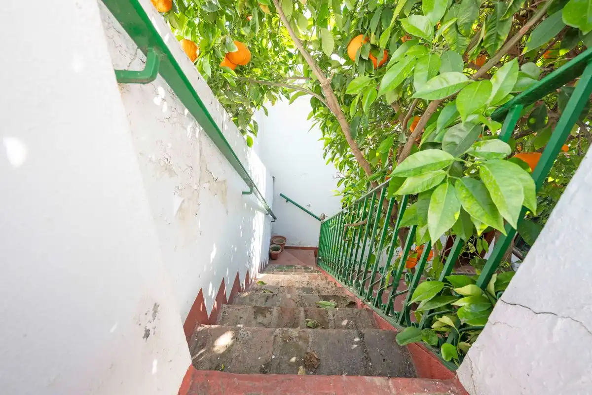 Casa pareada con terraza en venta en C. Paco Camino, imagen 26