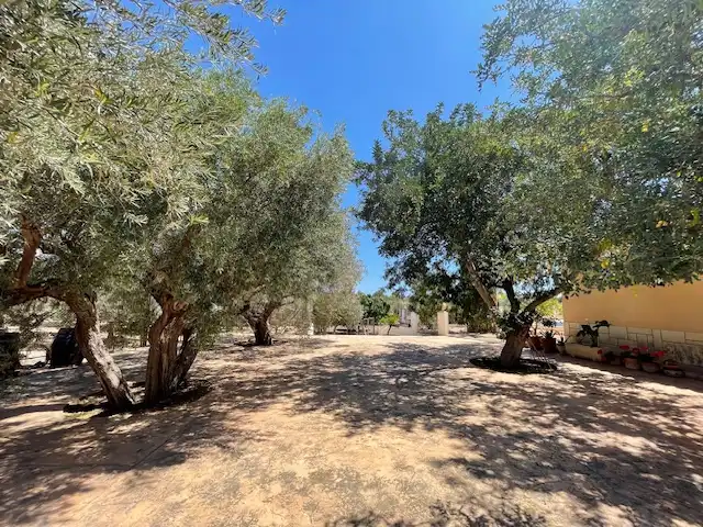 Houses for sale in Calle Partida del Raspeig, Villamontes - Boqueres