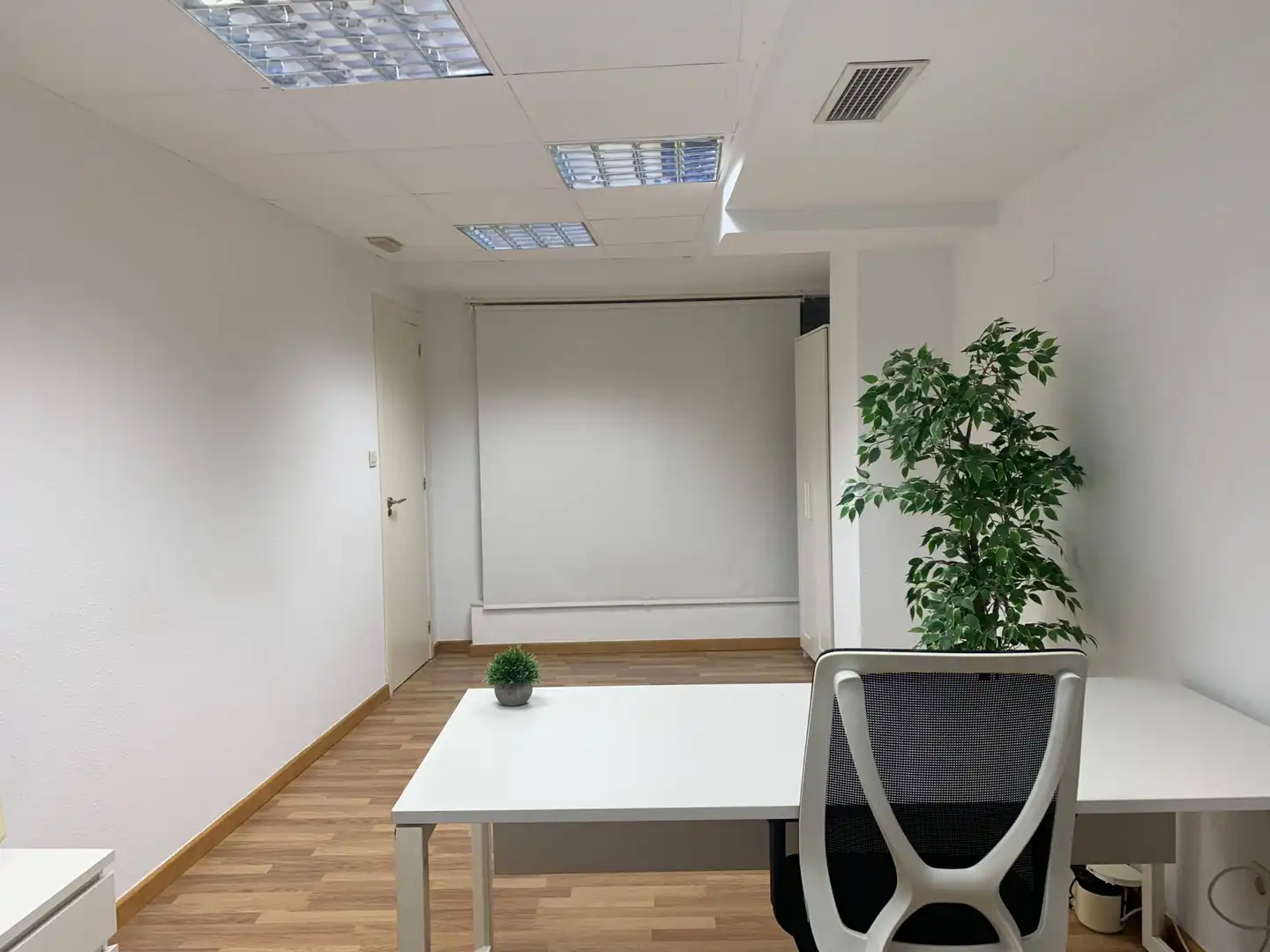 Büro zur Miete in Elche / Elx mit Möbliert