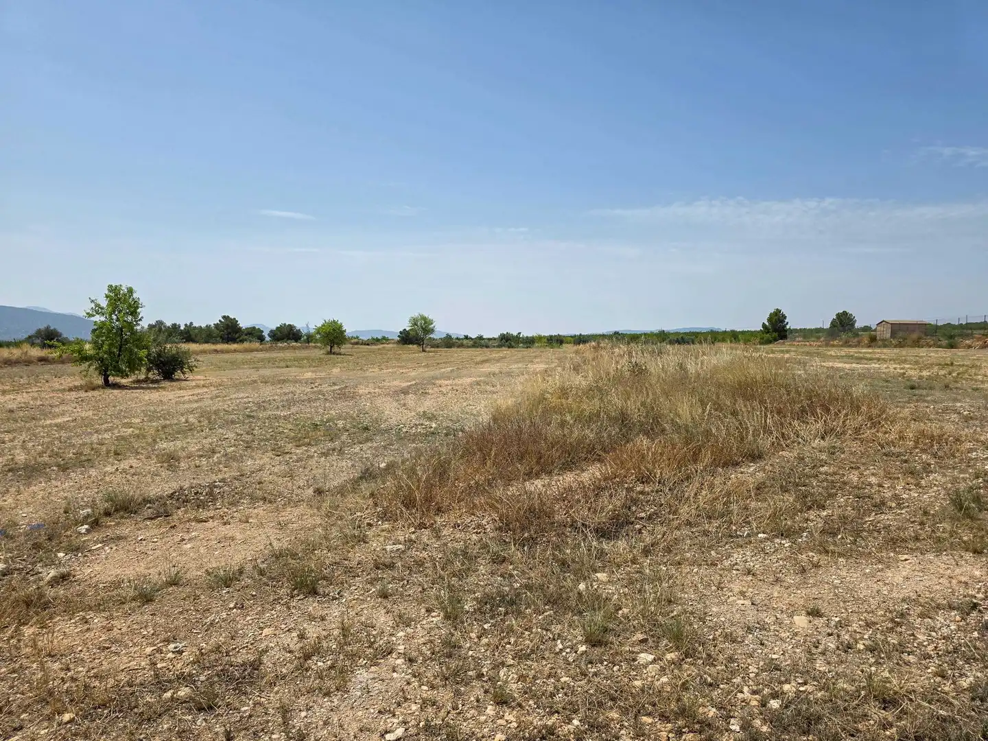Terreny residencial en venda a El Pinós / Pinoso, imagen 3