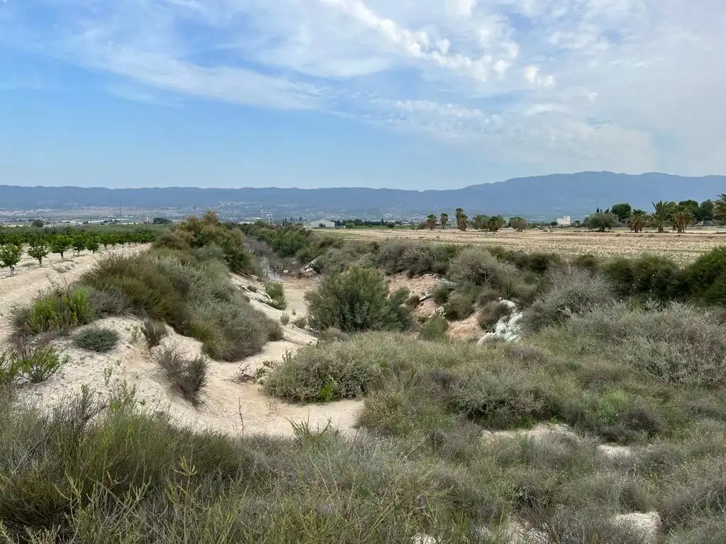 Terreno rustico in vendita a Campo de Murcia, imagen 2