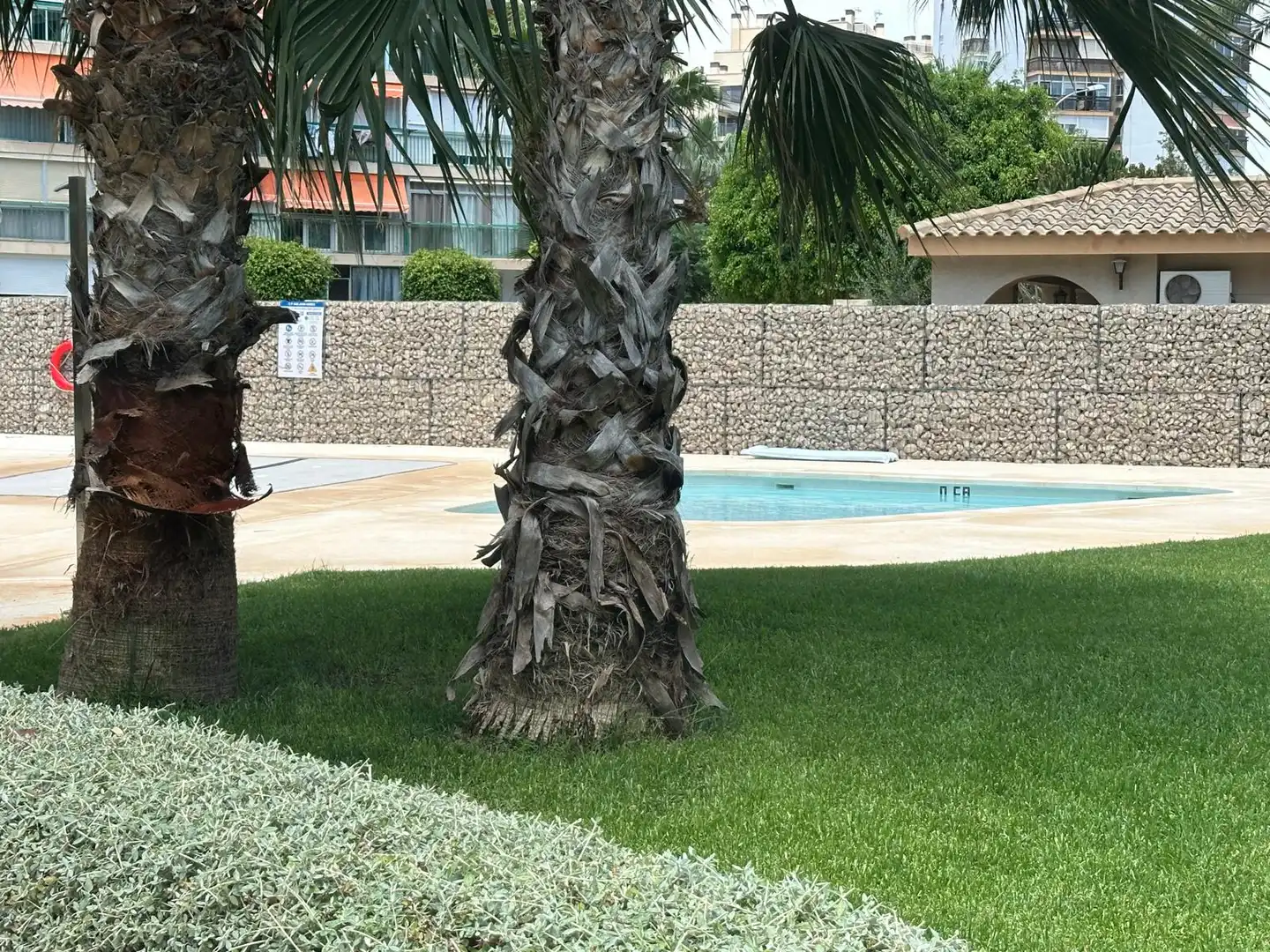 Piscina de Apartamento de alquiler en Alicante / Alacant con Aire acondicionado, Amueblado y Horno