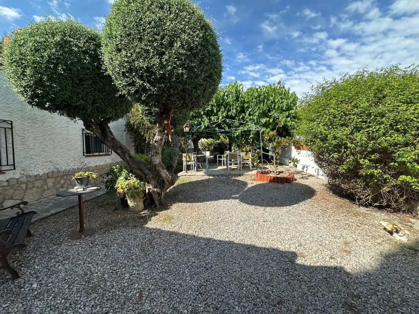 Villa con terrazza in vendita a Las Palmeras, imagen 4